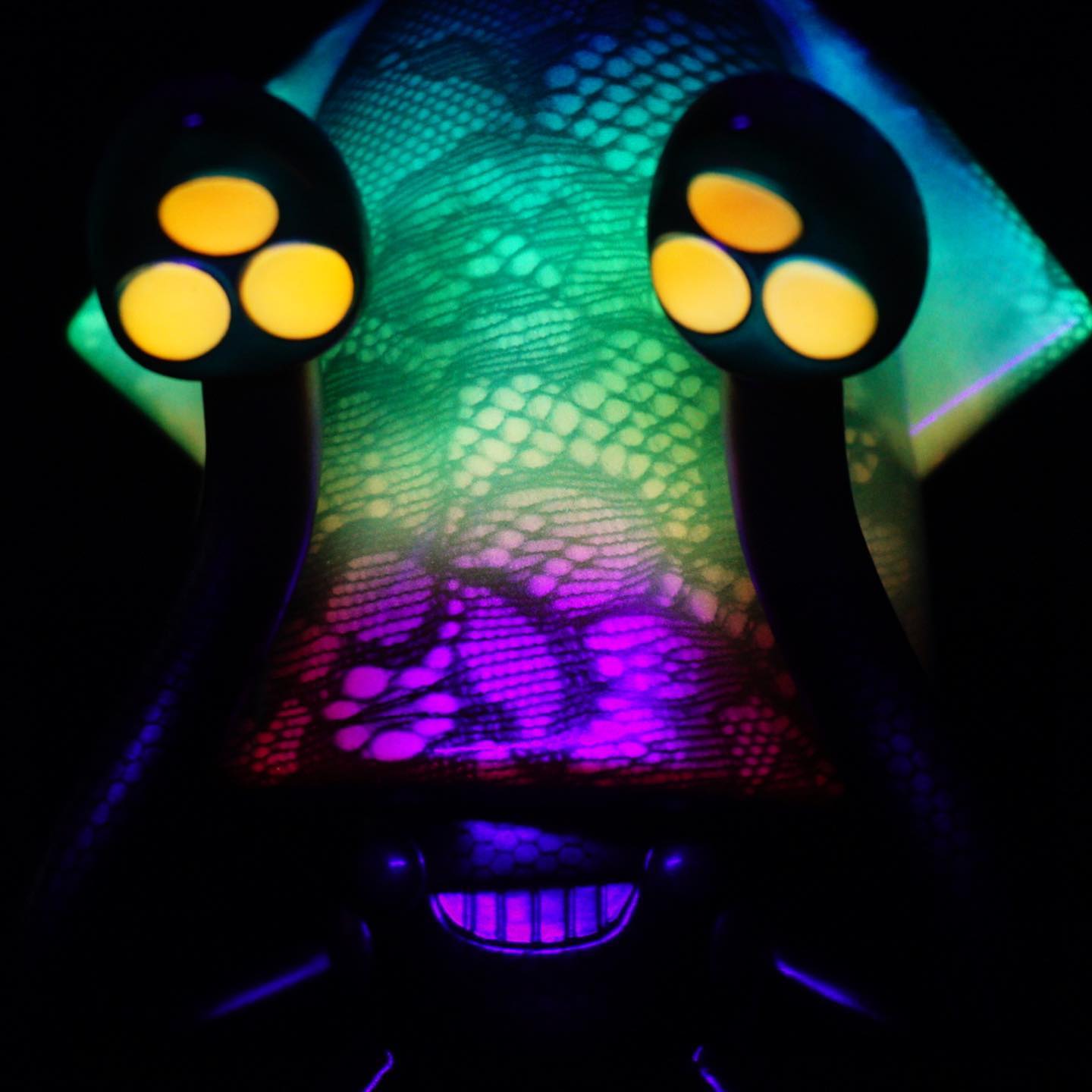 Symphony of Squid 幻彩詠烏烏