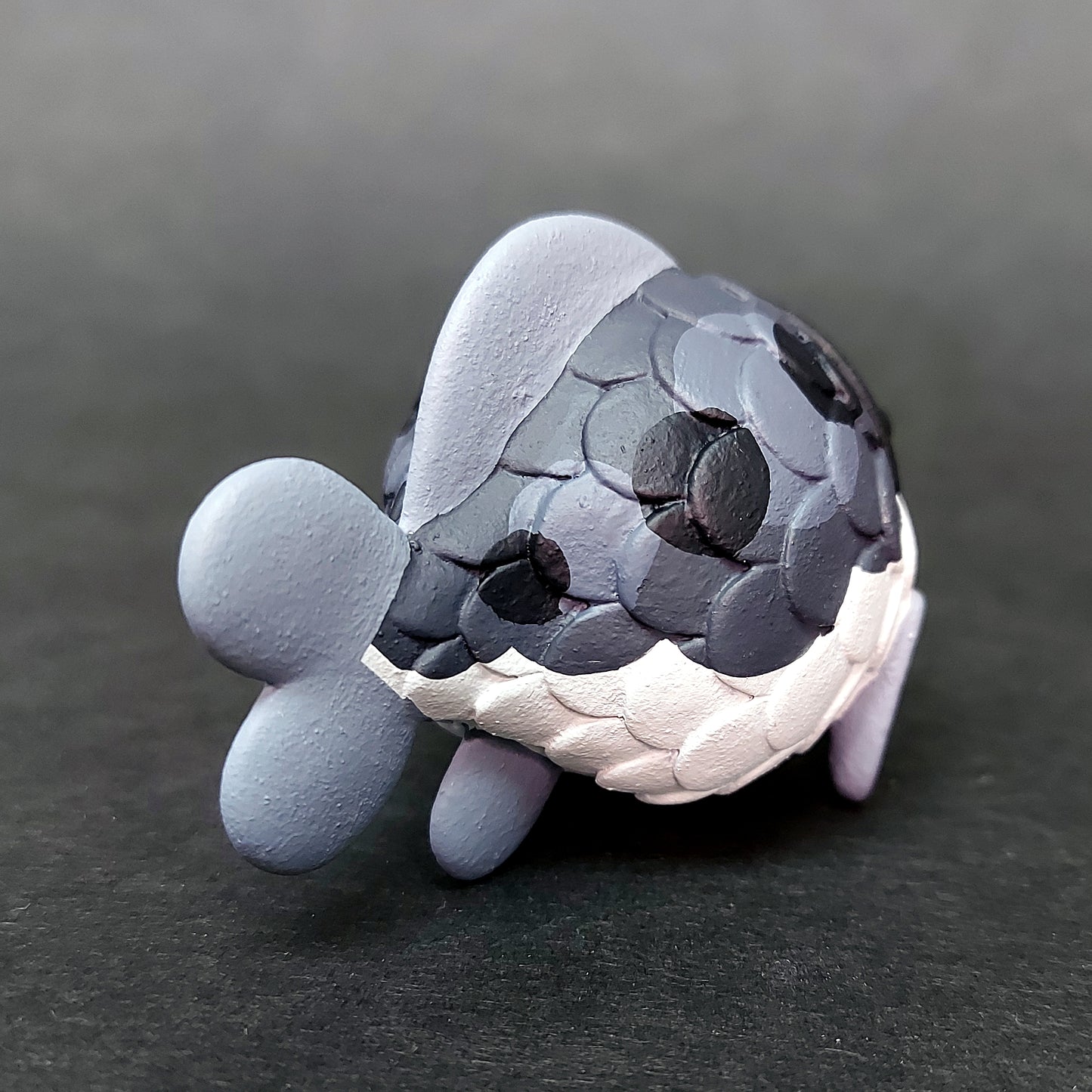 B&W BallBallFish 黑白波波魚
